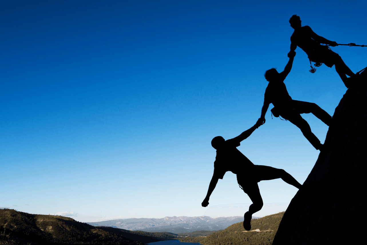 Project Management — Tenacity Business Growth Consultancy