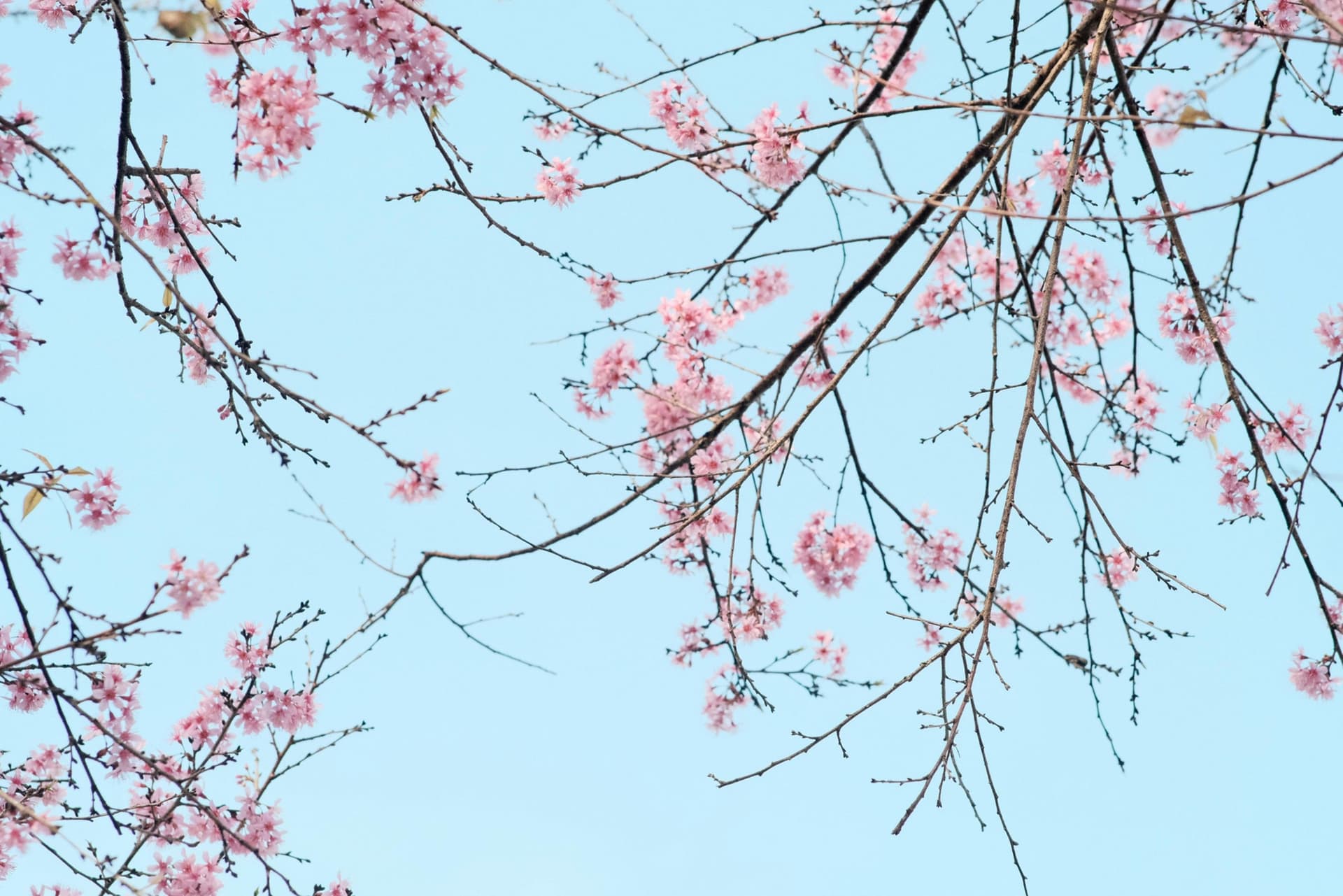 Careers & Employability Coaching — Tenacity Business Growth Consultancy